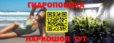 мяу мяу мука Нягань