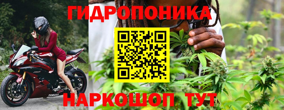 Каннабис ГИДРОПОН Амурск